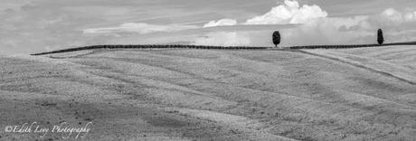 Tuscany, Italy, Blackand White, monochrome, landscape, travel photography, hillside, cypress trees, minimalist