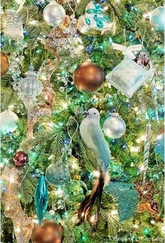 Christmas Is for The Birds!