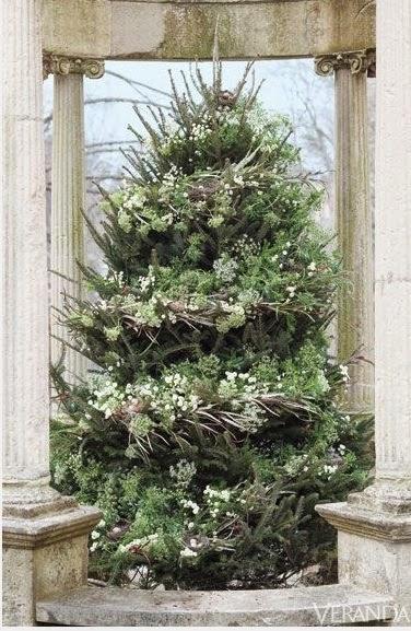 Christmas Is for The Birds!