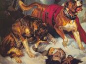 Sunday December Alpine Mastiffs Reanimating Distressed Traveller