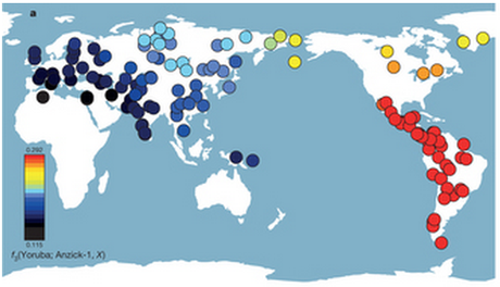 White Solutreans From Stone-Age Europe the True and First Native Americans.