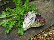 Harvest Monday December 2014