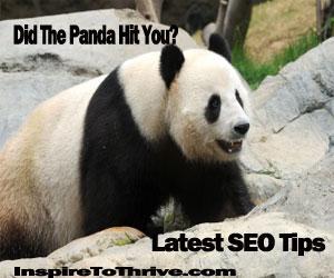 Google Panda is Back