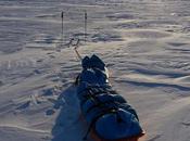 Antarctica 2014: Frédérick Pole Inaccessibility?