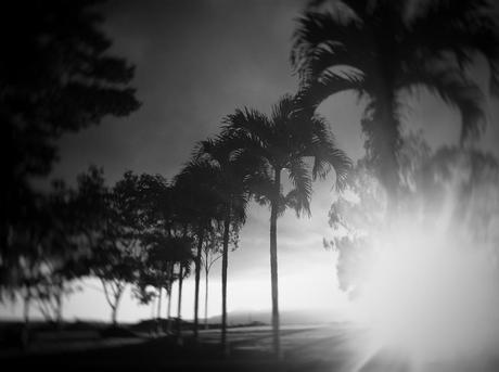 a quiet place dreamcreate-property-4 2