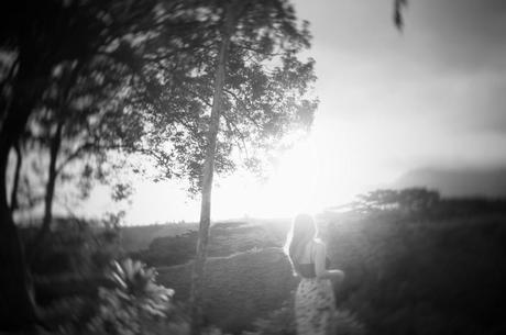 a quiet place dreamcreate-property-2 2