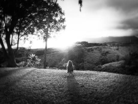 a quiet place dreamcreate-property-1 2