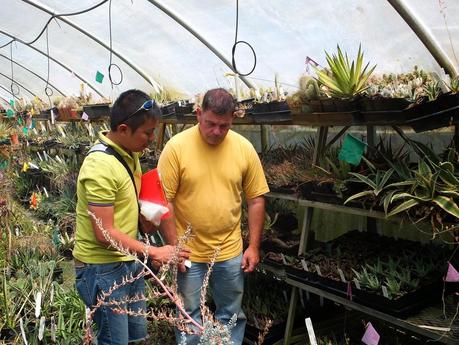 Fling 2014: Cistus Nursery