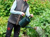 Tried Tested Gifts Gardeners