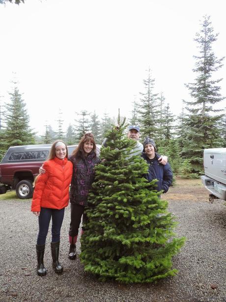 The Hunt for a Perfect Christmas Tree