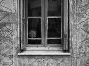 Check Wonder’s Hauntingly Beautiful Track [stream]