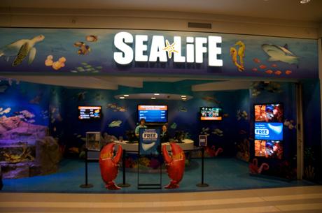 Sea Life Aquarium 