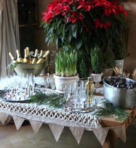 A Holiday Engagement Party