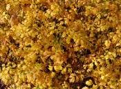 Xanthorhiza Simplicissima