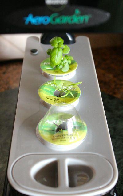 aerogarden 2 weeks