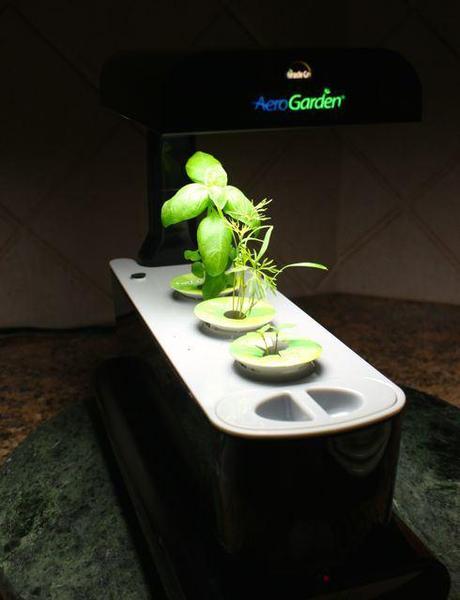 Aerogarden