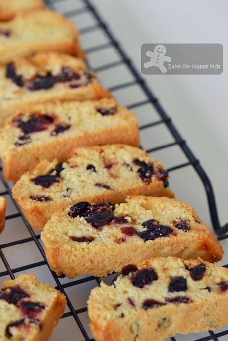 Dried Cranberry White Chocolate Biscotti