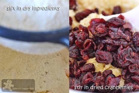 Dried Cranberry White Chocolate Biscotti