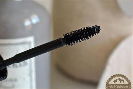 Etude House Lash Perm 3 Step Volumecara Mascara Review