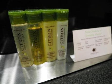 P8090369 ダブルツリー バイ ヒルトン ザグレブ / Double Tree by Hilton Hotel Zagreb