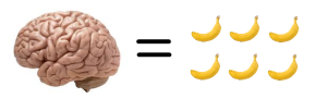 The human brain requires a lot of food anyway