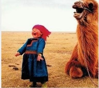 Still Crazy For Camel!