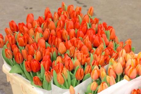 Covent-Garden-Flower-Market