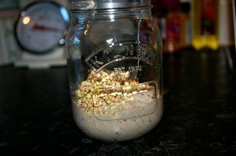 Raw buckwheat & blueberry porridge