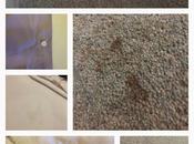 Difference Between Dirt Stain