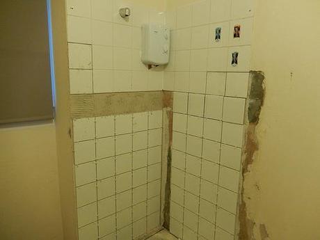 Bathroom Bedlam (Part 3)