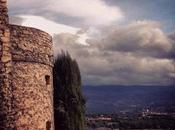 Autumn Provence, Crillion Brave