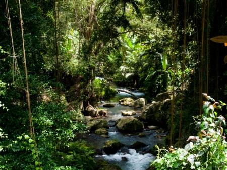 kuil-gunung-kawi-bali-indonesia-e-picturesque-foliage-surrounding-gunung-kawi