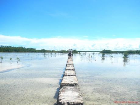 Olango Island Wildlife Sanctuary