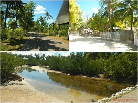 Olango Island Wildlife Sanctuary