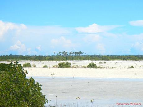 Olango Island Wildlife Sanctuary