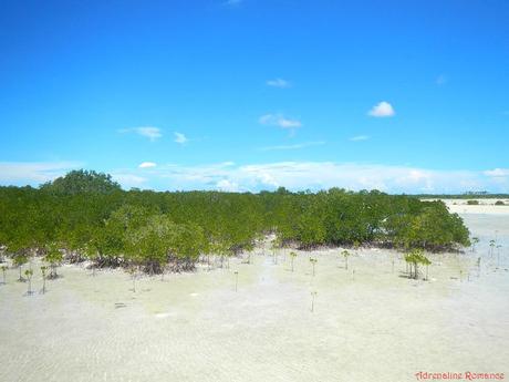 Olango Island Wildlife Sanctuary