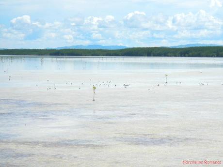 Olango Island Wildlife Sanctuary