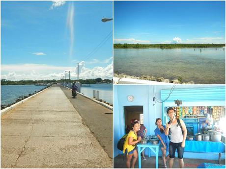 Olango Island Wildlife Sanctuary