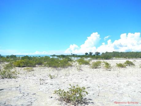 Olango Island Wildlife Sanctuary