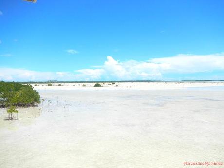 Olango Island Wildlife Sanctuary