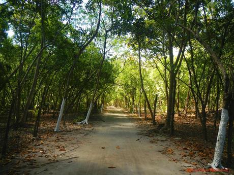 Olango Island Wildlife Sanctuary