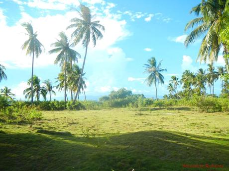 Olango Island Wildlife Sanctuary