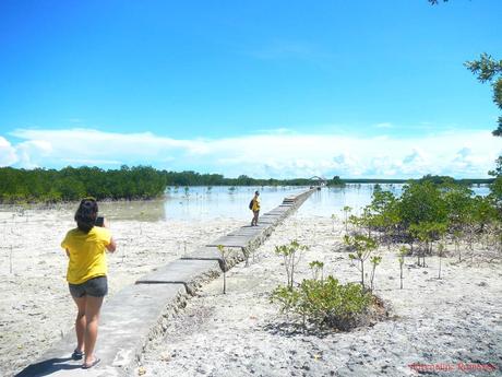 Olango Island Wildlife Sanctuary