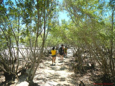 Olango Island Wildlife Sanctuary