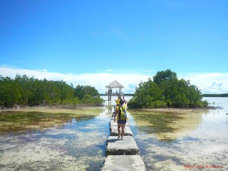 Olango Island Wildlife Sanctuary