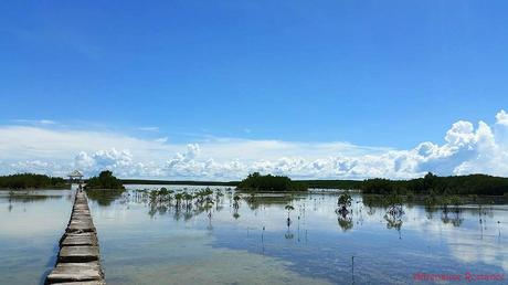 Olango Island Wildlife Sanctuary