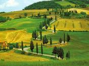 Final Considerations About This Wonderful Year 2014