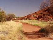 Ozzywood: Extras Ayers Rock