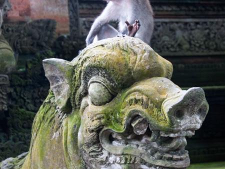 Monkey sitting on a boar statue