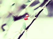 Late Autumn Walk Provence